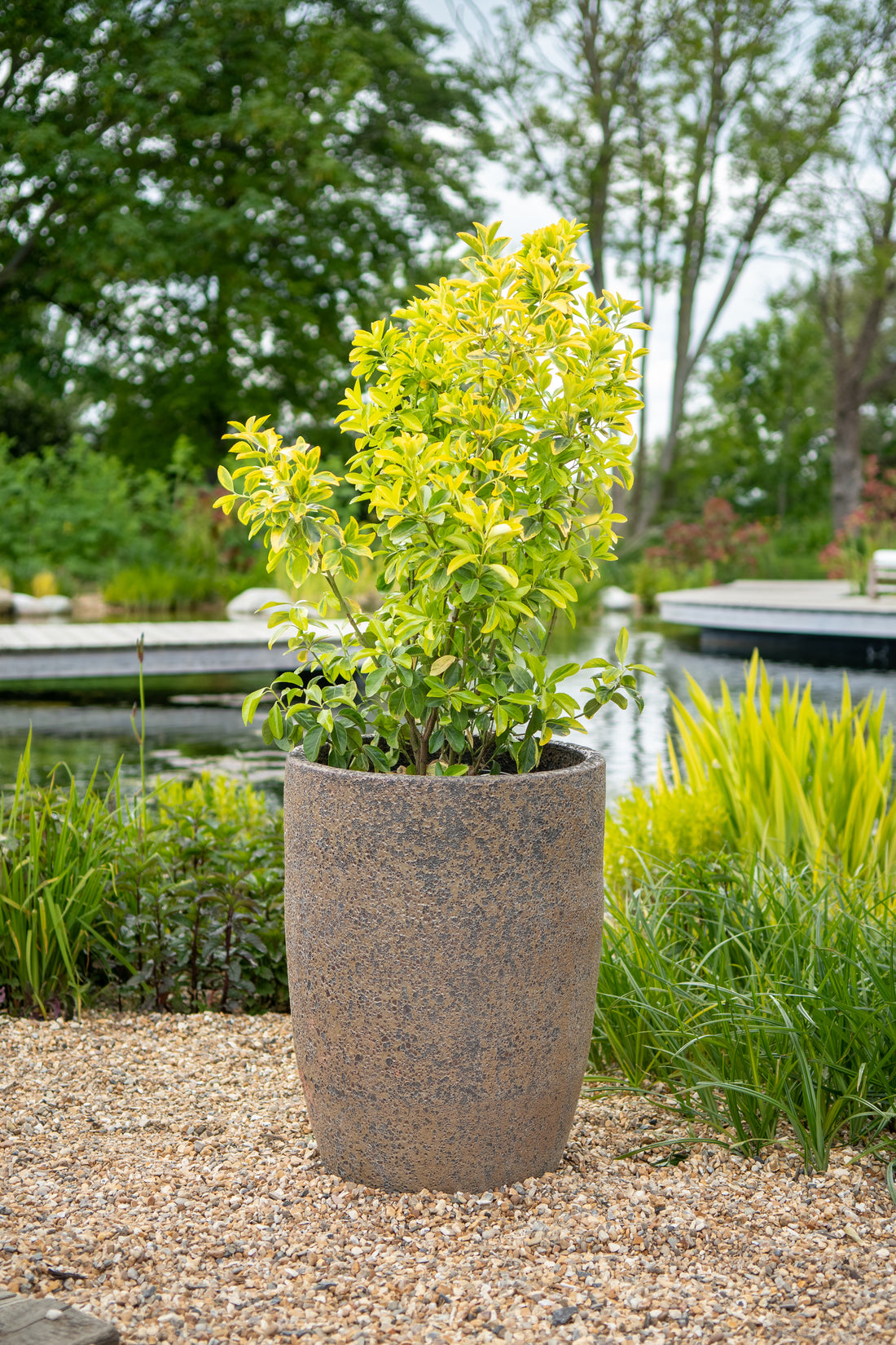 AT602L Pallet (Set Of 5)