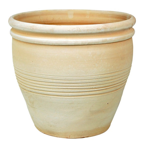 Valencia & Pencilia Planter