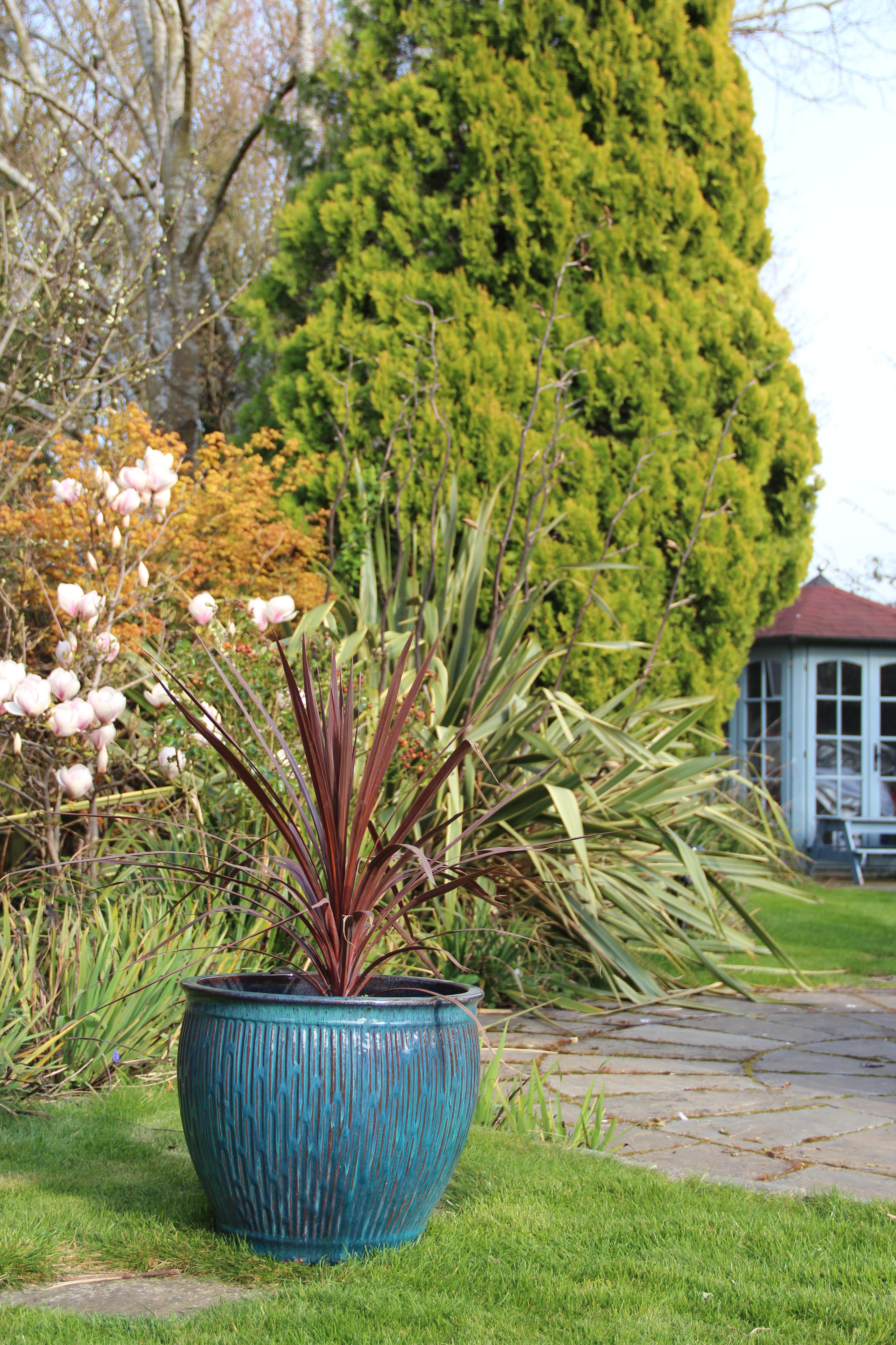 Pipa Planter ( 27 Sets)