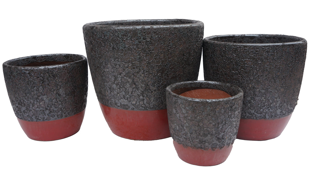 Atlantis Egg( 27 Sets)