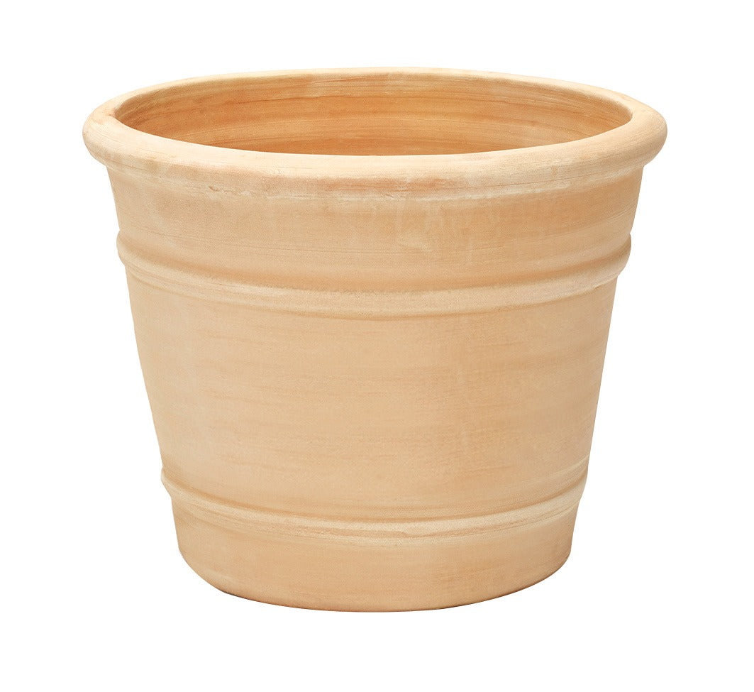 Valencia & Pencilia Planter