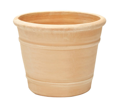 Valencia &amp; Pencilia Planter