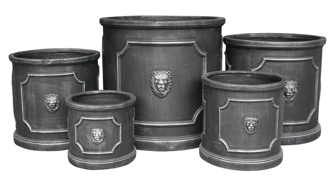 Lion Cylinder & Cube