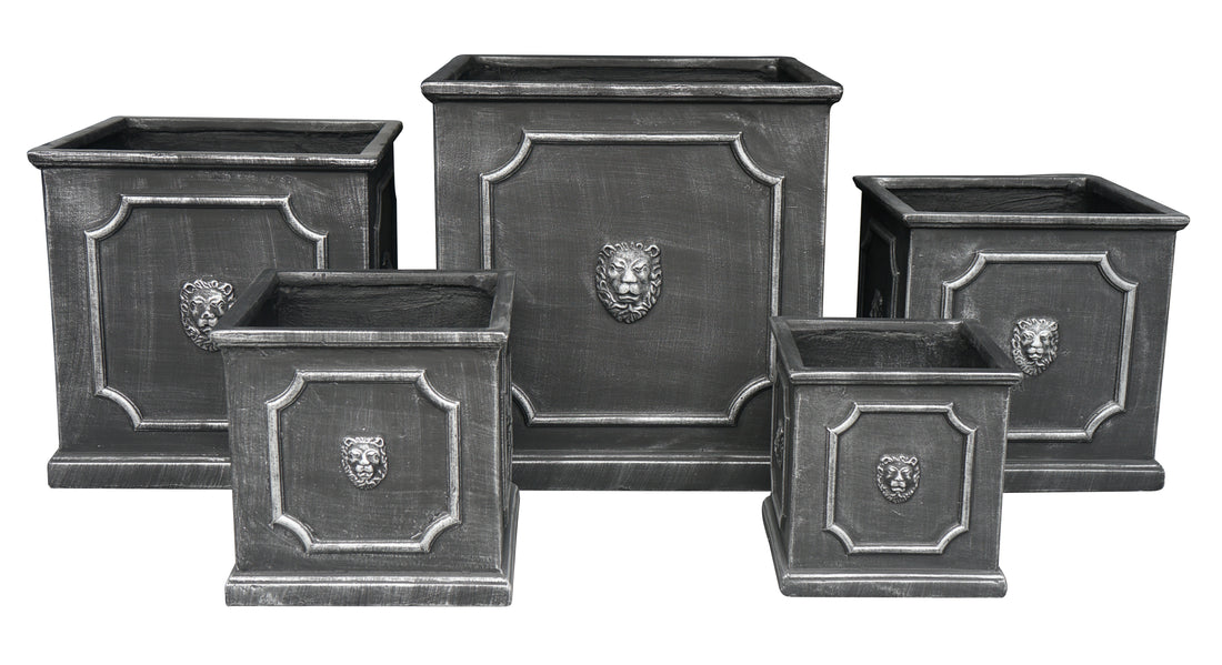 Lion Cylinder &amp; Cube